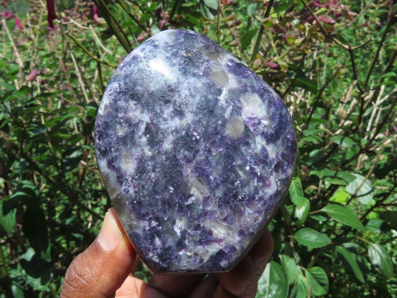 Polished Gem Lithium Mica Lepidolite Display Free Forms x 3 From Zimbabwe - TopRock