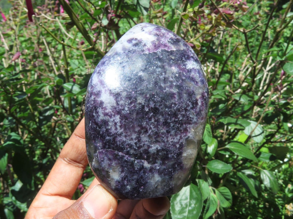 Polished Gem Lithium Mica Lepidolite Display Free Forms x 3 From Zimbabwe - TopRock