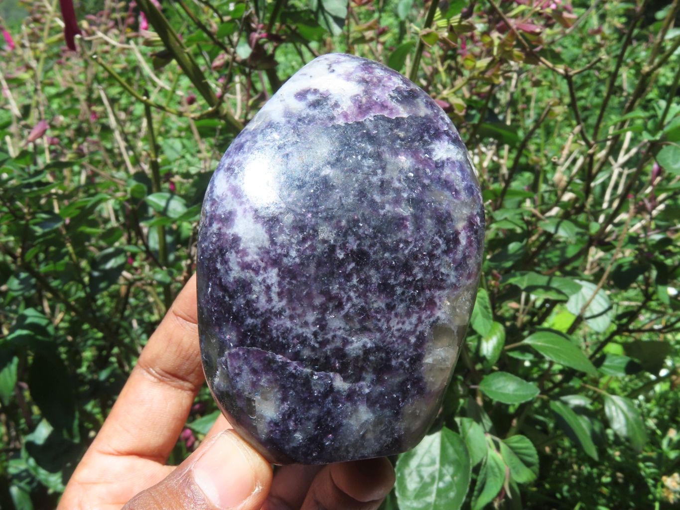 Polished Gem Lithium Mica Lepidolite Display Free Forms x 3 From Zimbabwe - TopRock