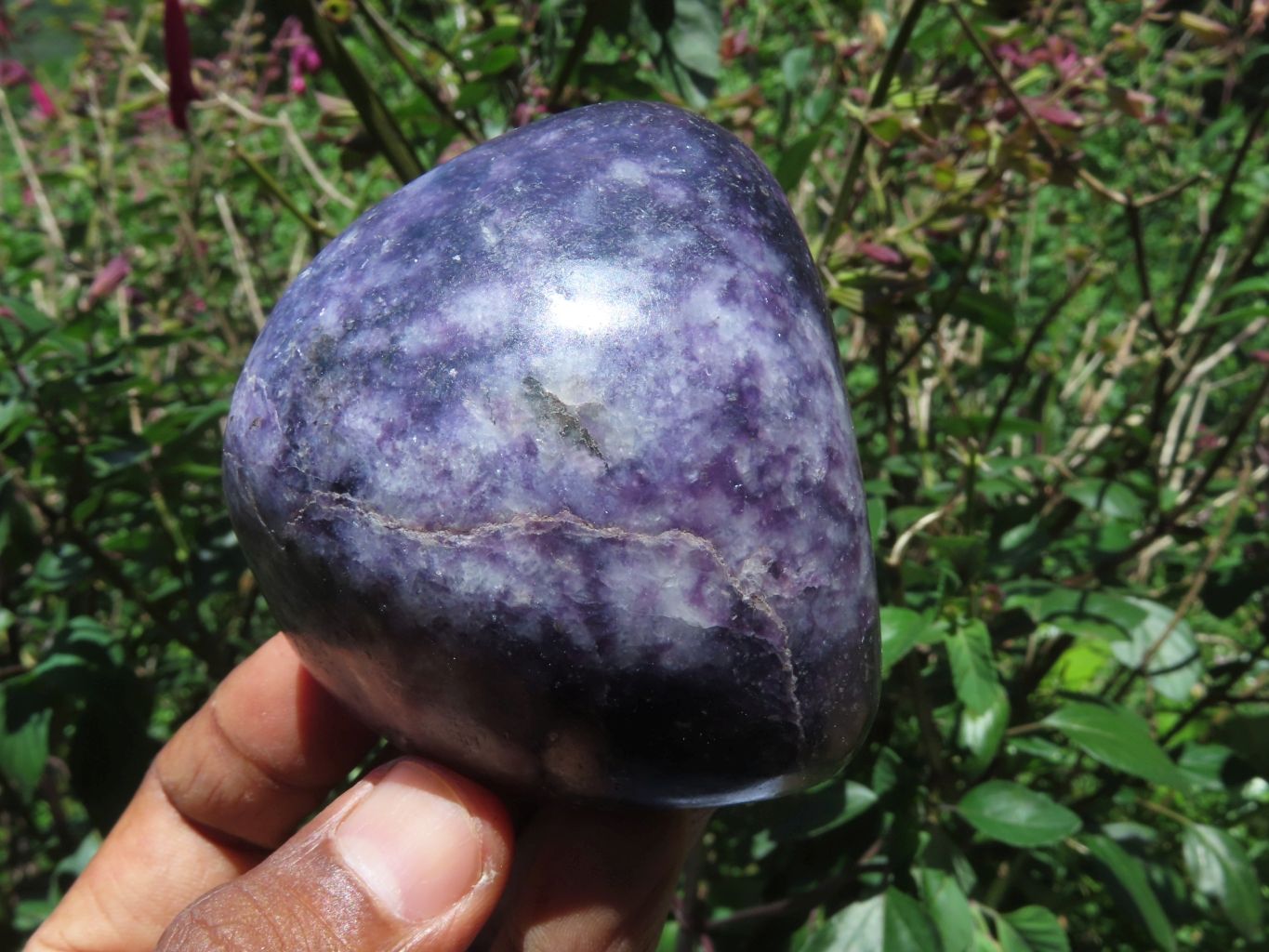 Polished Gem Lithium Mica Lepidolite Display Free Forms x 3 From Zimbabwe - TopRock