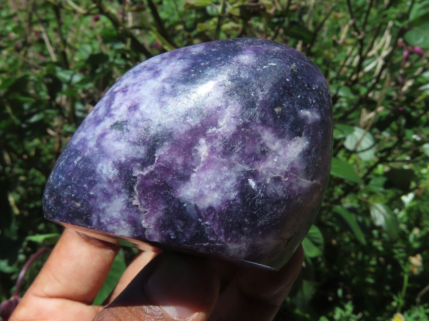 Polished Gem Lithium Mica Lepidolite Display Free Forms x 3 From Zimbabwe - TopRock