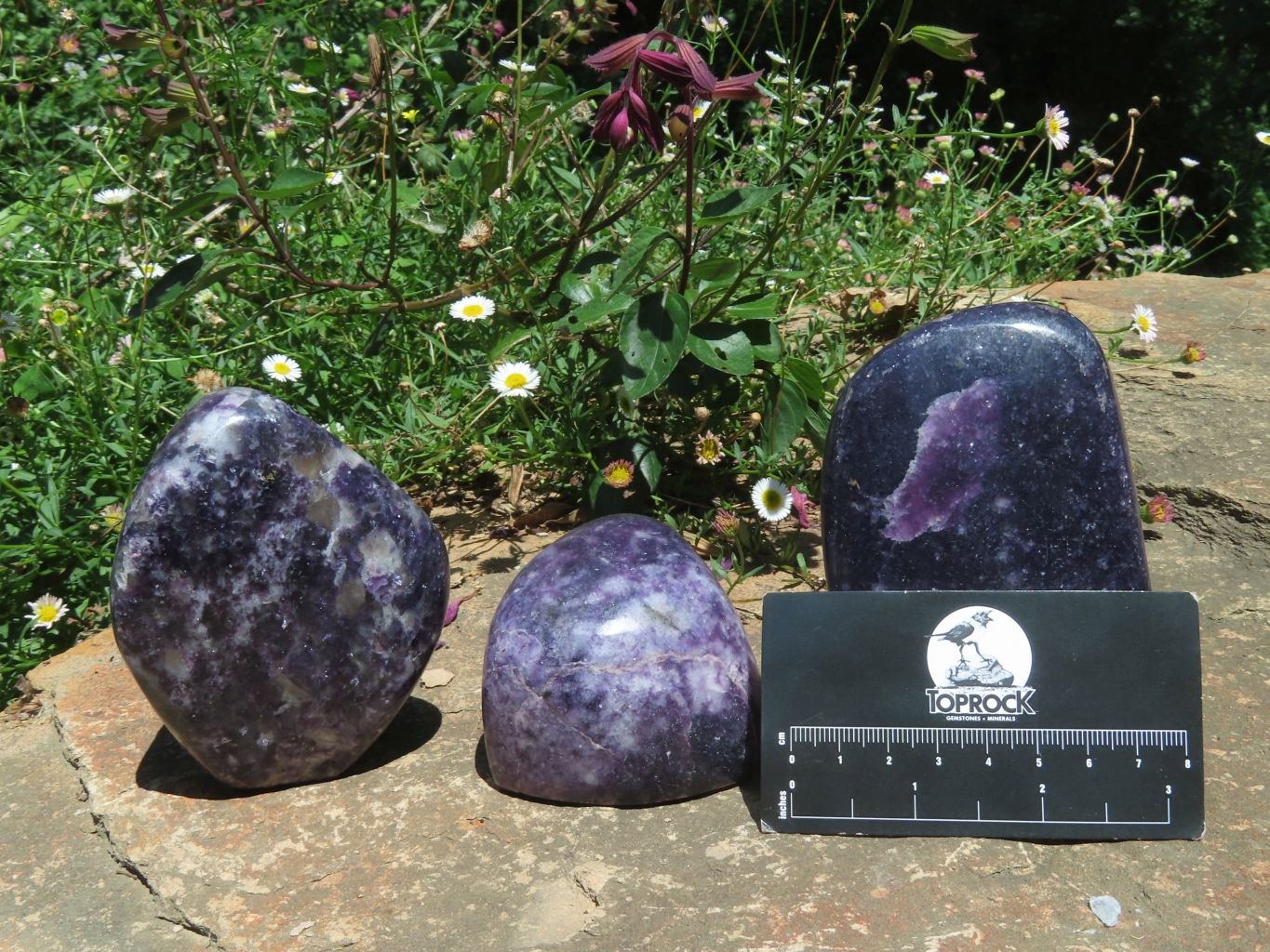 Polished Gem Lithium Mica Lepidolite Display Free Forms x 3 From Zimbabwe - TopRock