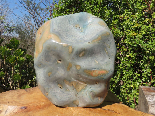 Polished Giant Dragon scale Polychrome Jasper With Dragon Thumbprint In Centre x 1 From Madagascar - TopRock