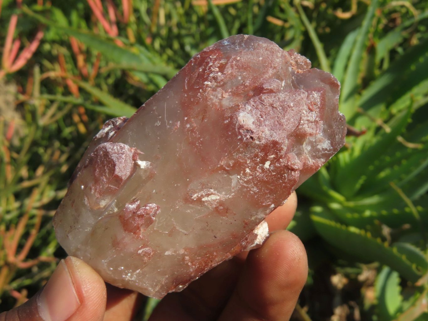 Natural Red Hematoid Phantom Quartz Clusters x 12 From Karoi, Zimbabwe - TopRock