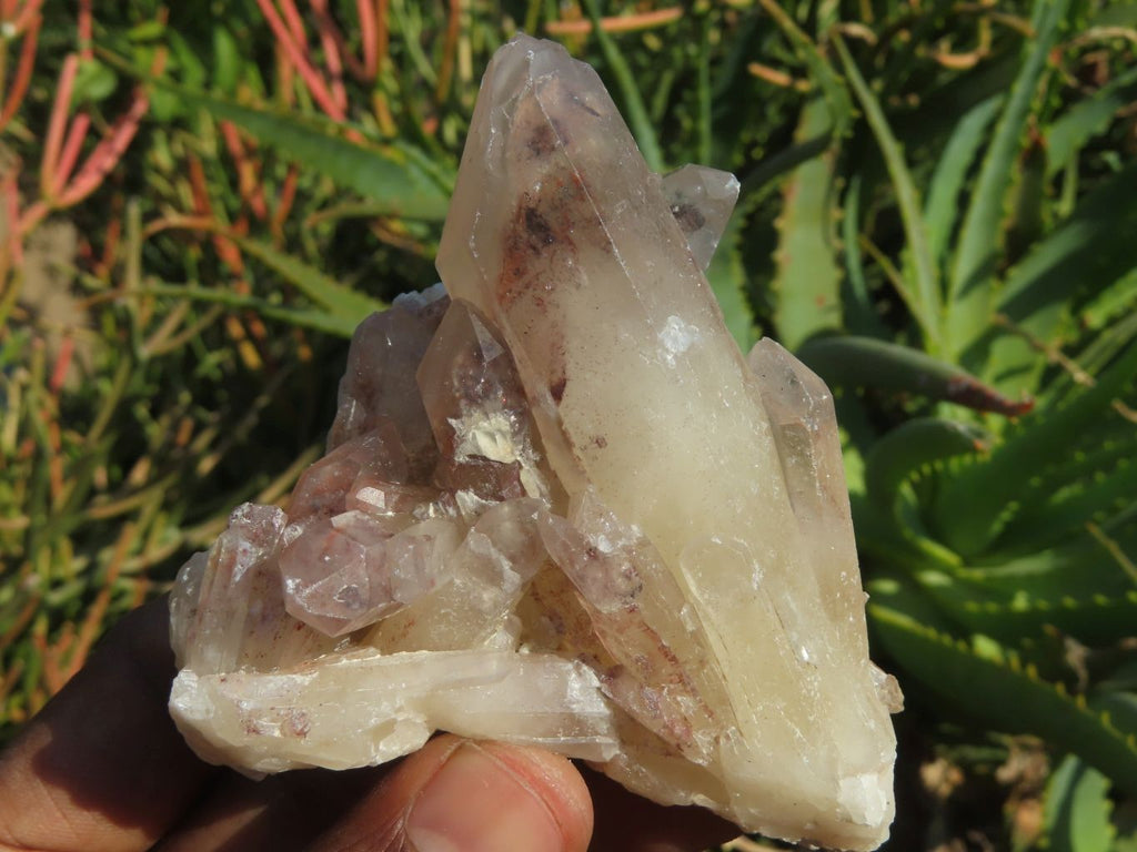 Natural Red Hematoid Phantom Quartz Clusters x 12 From Karoi, Zimbabwe - TopRock