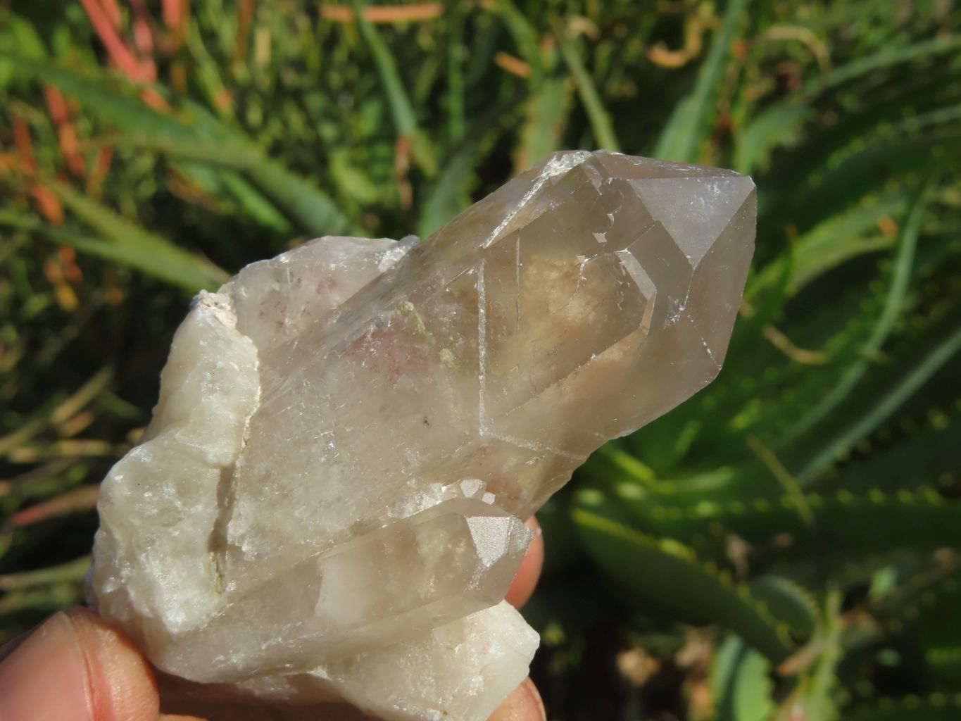 Natural Red Hematoid Phantom Quartz Clusters x 12 From Karoi, Zimbabwe - TopRock