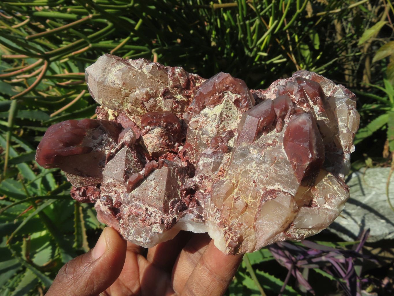 Natural Red Hematoid Quartz Clusters x 3 From Karoi, Zimbabwe - TopRock