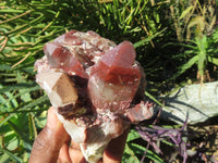 Natural Red Hematoid Quartz Clusters x 3 From Karoi, Zimbabwe - TopRock