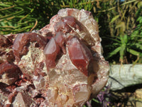 Natural Red Hematoid Quartz Clusters x 3 From Karoi, Zimbabwe - TopRock