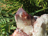 Natural Red Hematoid Quartz Clusters x 3 From Karoi, Zimbabwe - TopRock