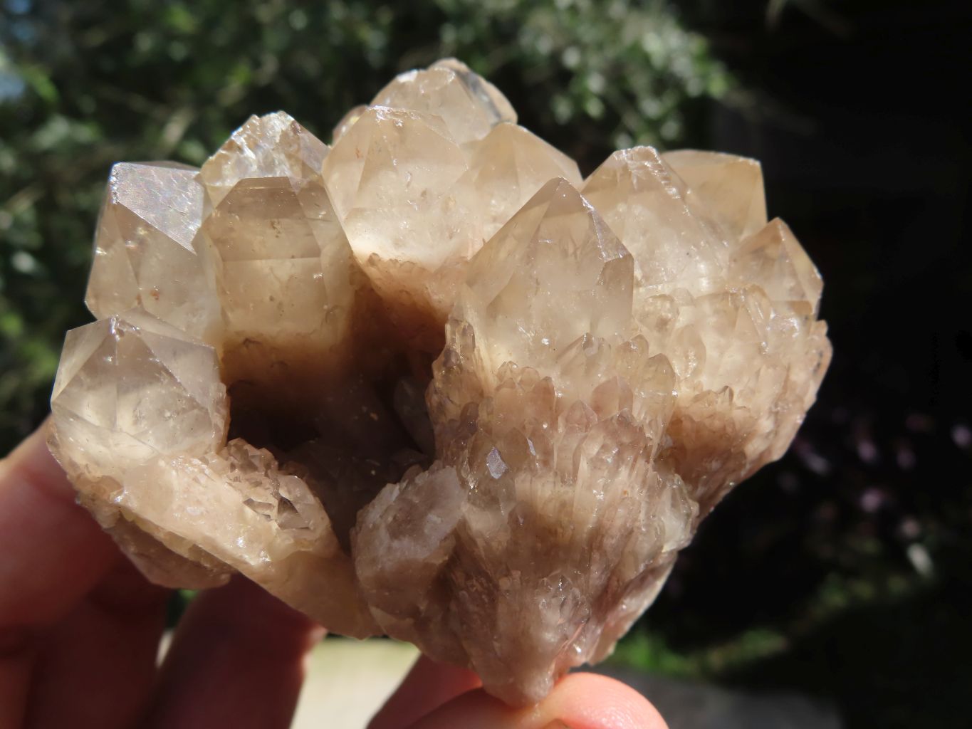 Natural Smokey Cascading Phantom Quartz Clusters x 6 From Luena, Congo - TopRock