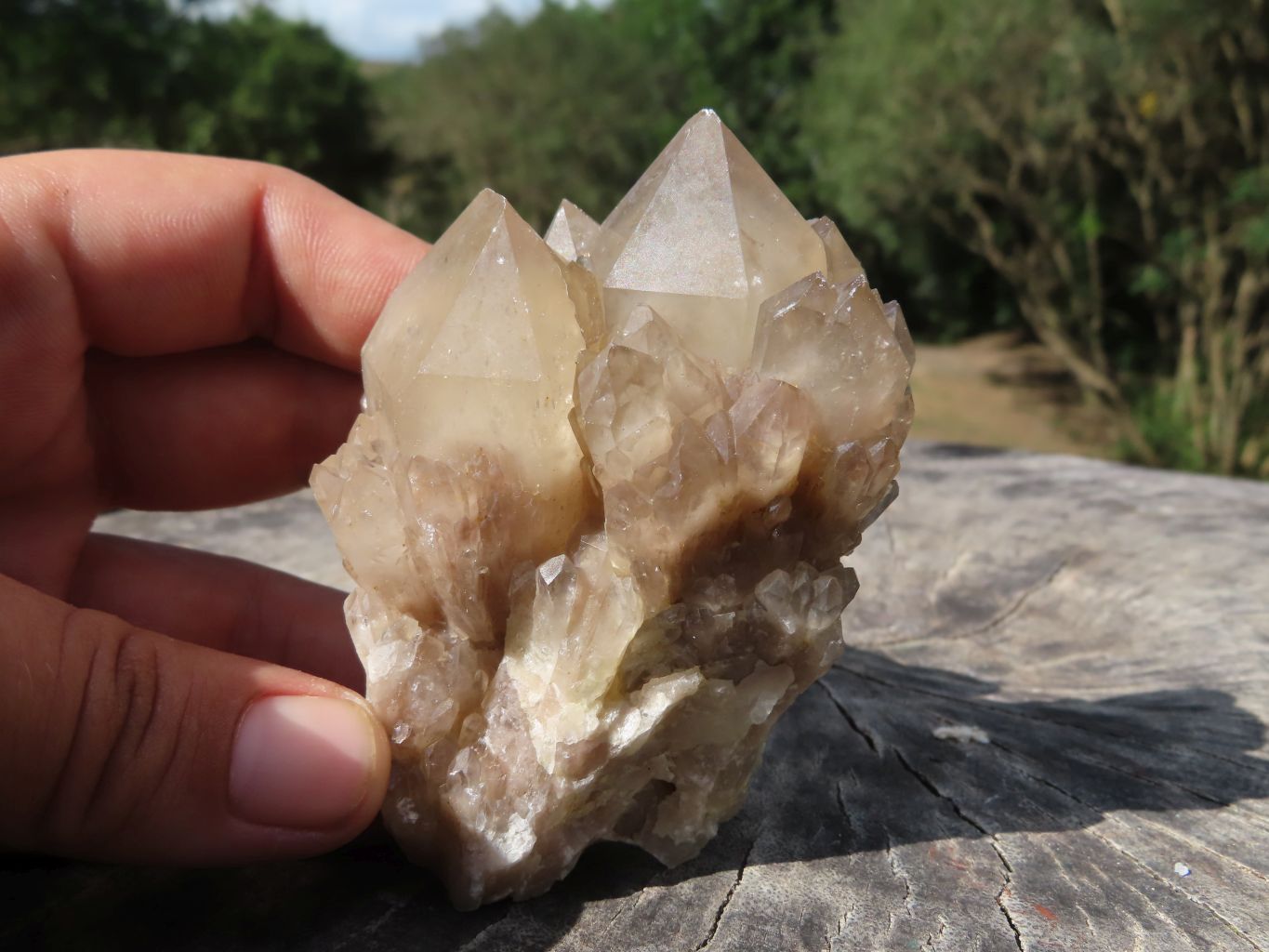 Natural Smokey Cascading Phantom Quartz Clusters x 6 From Luena, Congo - TopRock