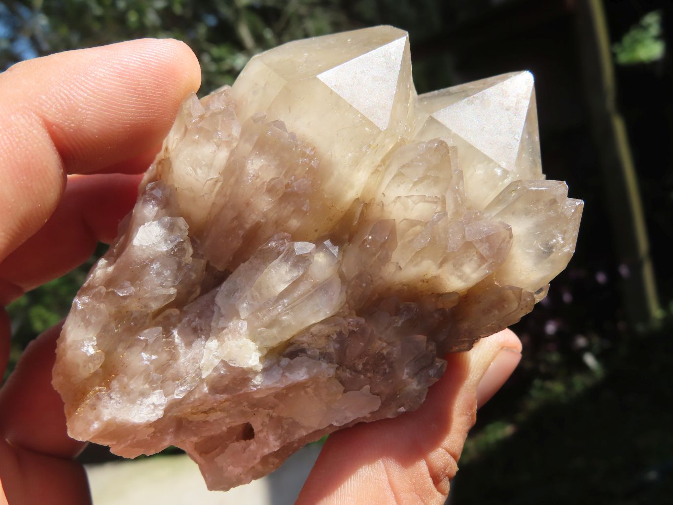 Natural Smokey Cascading Phantom Quartz Clusters x 6 From Luena, Congo - TopRock