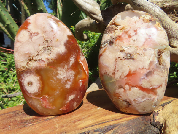 Polished Lovely Coral Flower Agate Standing Free Forms x 3 From Antsahalova, Madagascar - TopRock