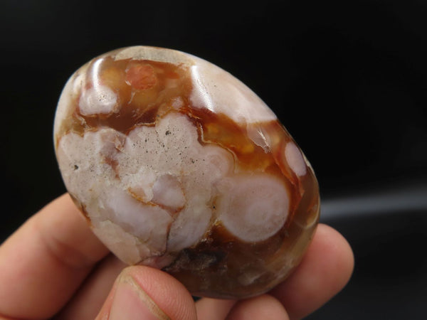 Polished Coral Flower Agate Gallets x 24 From Madagascar - TopRock