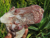 Natural Cascading Termination Red Hematite Quartz Clusters x 2 From Karoi, Zimbabwe - TopRock