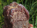 Natural Cascading Termination Red Hematite Quartz Clusters x 2 From Karoi, Zimbabwe - TopRock