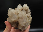 Natural Smokey Phantom Quartz Cluster x 1 From Lwena, Congo - TopRock