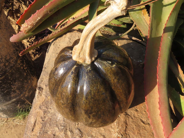 Polished Large Pumpkin Carving x 1 From Zimbabwe - TopRock