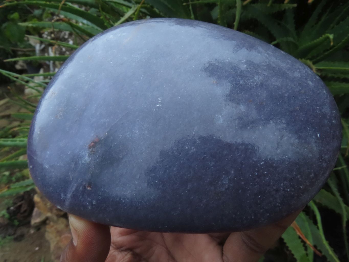 Polished Large lepidolite Lithium Mica Semi Gemmy Free Forms x 2 From Zimbabwe - TopRock