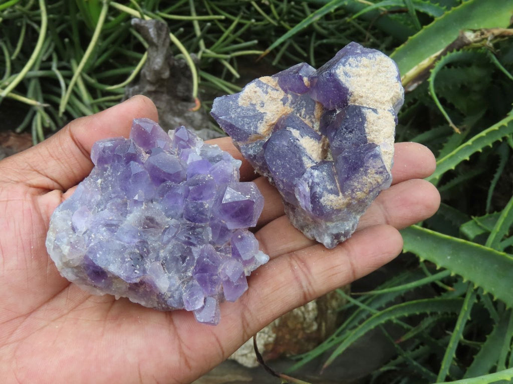 Natural Amethyst Quartz Small Clusters x 12 From Mapatizya, Zambia - TopRock