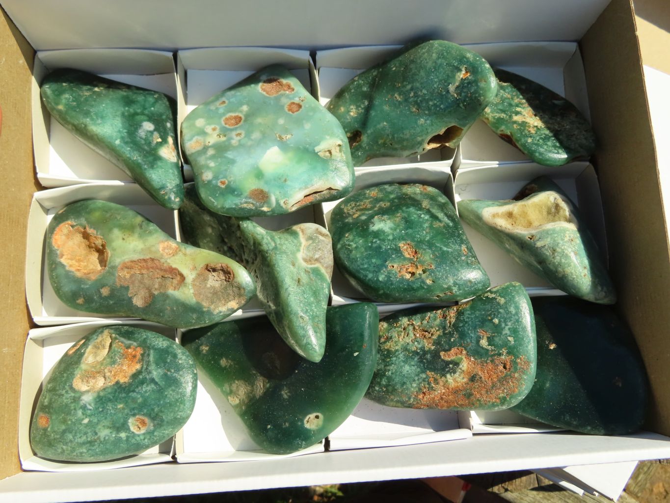 Polished Rare Expensive Mtorolite Emerald Green Free Forms x 12 From Zimbabwe - TopRock