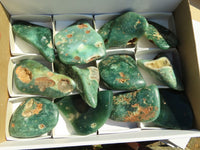 Polished Rare Expensive Mtorolite Emerald Green Free Forms x 12 From Zimbabwe - TopRock
