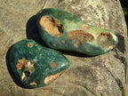 Polished Rare Expensive Mtorolite Emerald Green Free Forms x 12 From Zimbabwe - TopRock