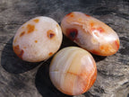Polished Lovely Contrasting Carnelian Gallets x 12 From Madagascar - TopRock