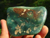 Polished Rare Expensive Mtorolite Emerald Green Free Forms x 12 From Zimbabwe - TopRock