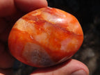 Polished Lovely Contrasting Carnelian Gallets x 12 From Madagascar - TopRock