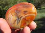 Polished Lovely Contrasting Carnelian Gallets x 12 From Madagascar - TopRock