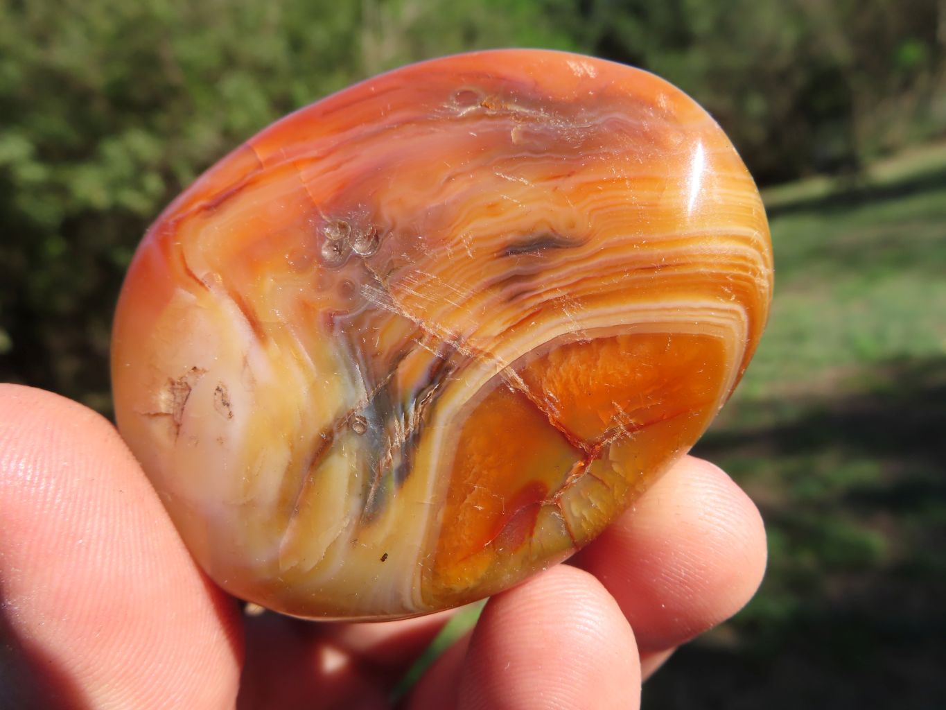 Polished Lovely Contrasting Carnelian Gallets x 12 From Madagascar - TopRock