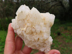 Natural Castle Quartz Clusters x 2 From Madagascar - TopRock