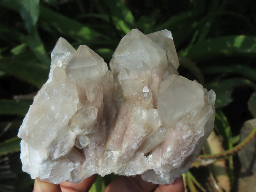Natural Smokey Phantom Quartz Clusters x 6 From Lwena, Congo - TopRock