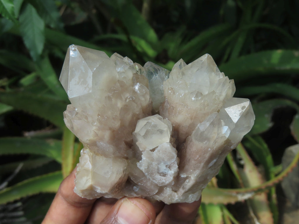 Natural Smokey Phantom Quartz Clusters x 6 From Lwena, Congo - TopRock