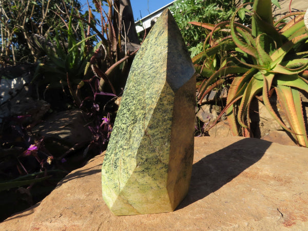 Polished  Large Leopard stone Faceted Point x 1 From Zimbabwe - TopRock