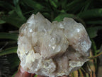 Natural Smokey Phantom Quartz Clusters x 6 From Lwena, Congo - TopRock
