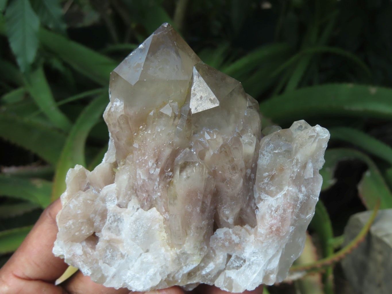Natural Smokey Phantom Quartz Clusters x 6 From Lwena, Congo - TopRock