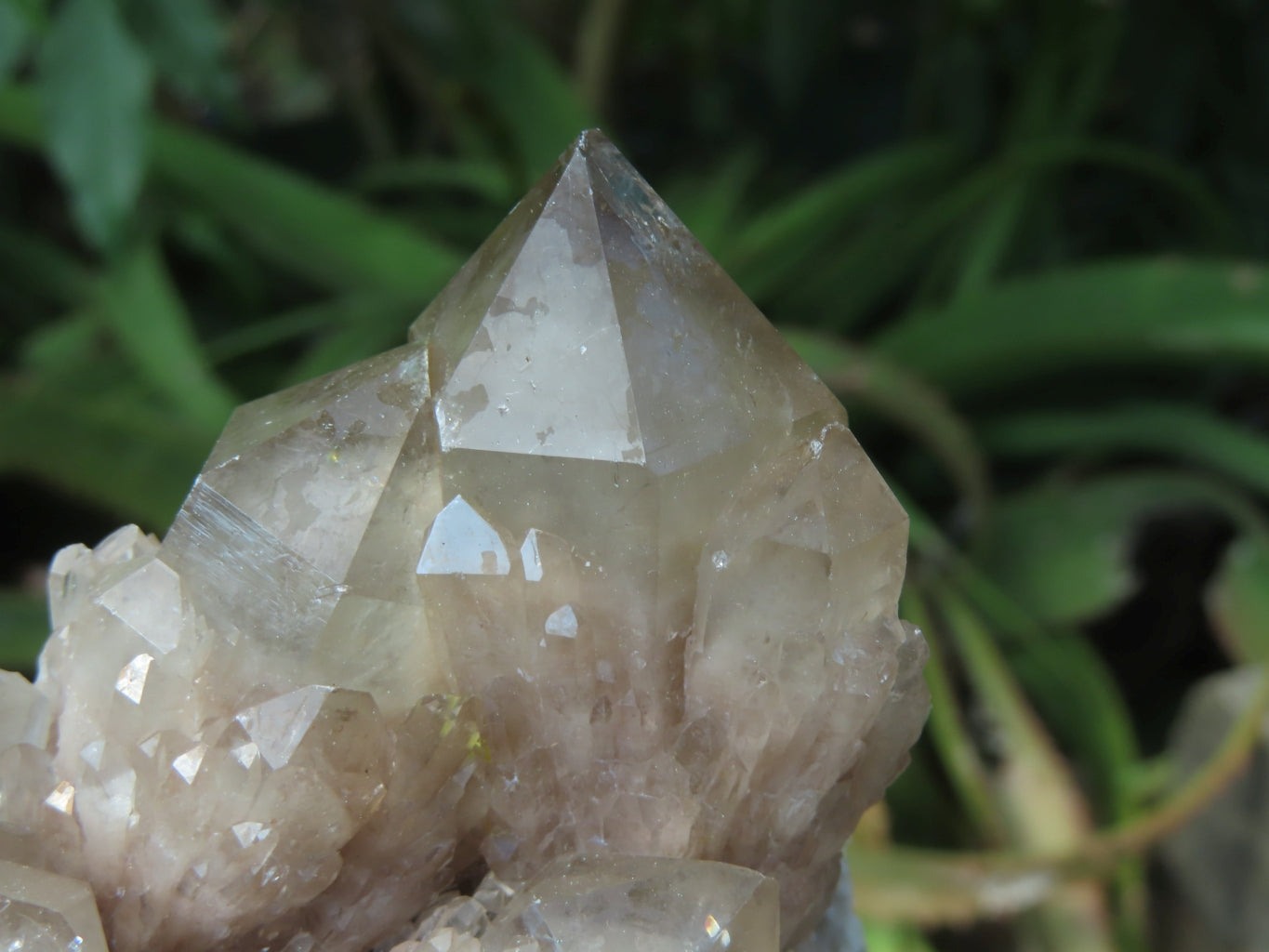 Natural Smokey Phantom Quartz Clusters x 6 From Lwena, Congo - TopRock