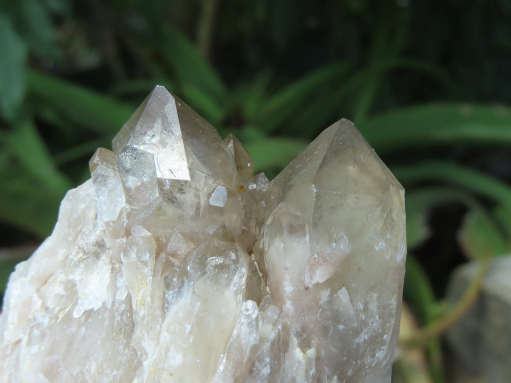 Natural Smokey Phantom Quartz Clusters x 6 From Lwena, Congo - TopRock