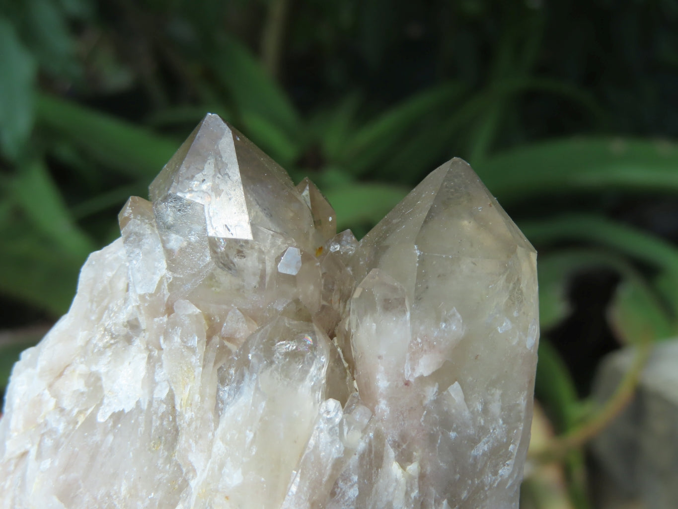 Natural Smokey Phantom Quartz Clusters x 6 From Lwena, Congo - TopRock