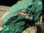 Natural Crystalline Malachite Specimens x 6 From Congo - TopRock