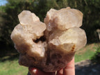 Natural Smokey Phantom Quartz Clusters x 2 From Luena, Congo - TopRock