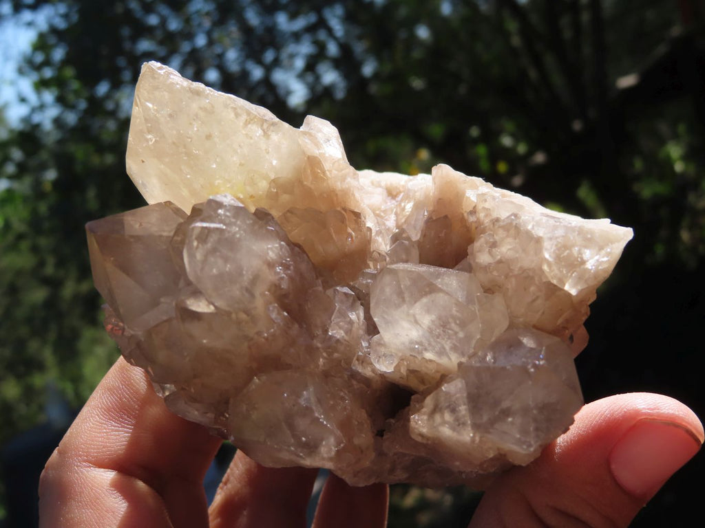 Natural Smokey Phantom Quartz Clusters x 2 From Luena, Congo - TopRock