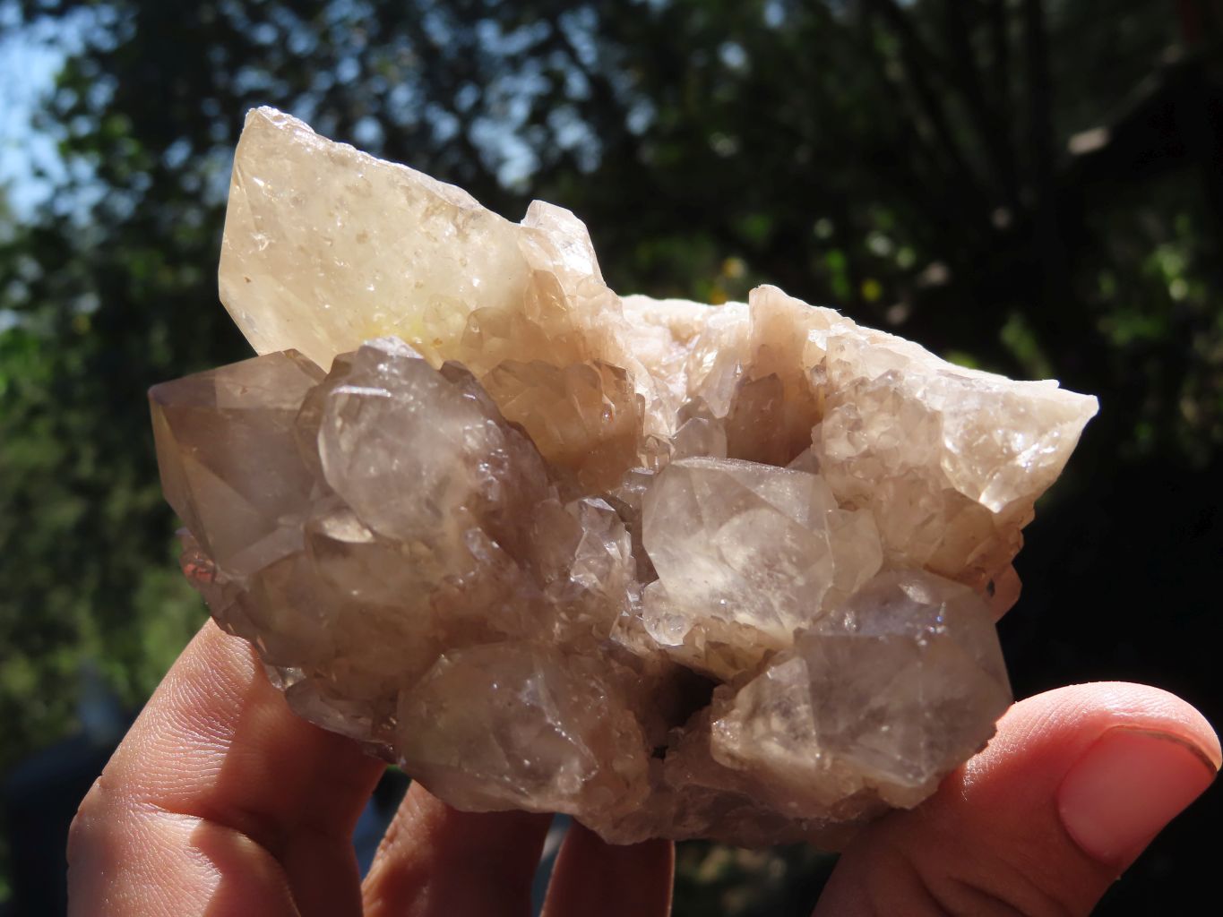 Natural Smokey Phantom Quartz Clusters x 2 From Luena, Congo - TopRock