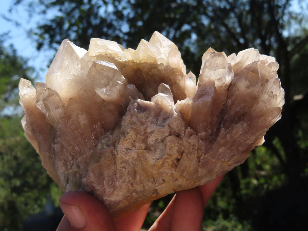 Natural Smokey Phantom Quartz Clusters x 2 From Luena, Congo - TopRock