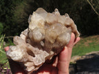 Natural Smokey Phantom Quartz Clusters x 2 From Luena, Congo - TopRock