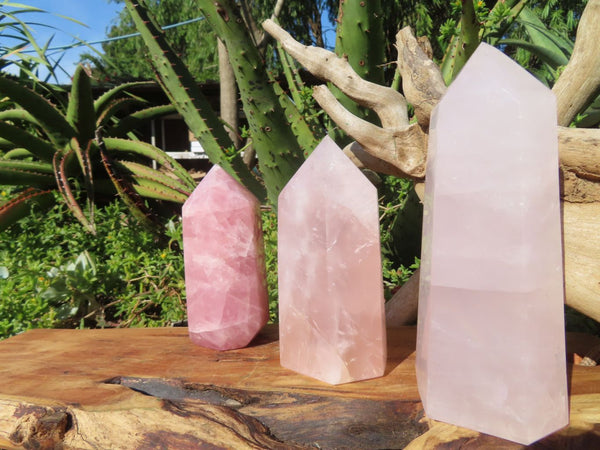 Polished Mixed Pink Variably Gemmy Rose Quartz Points x 3 From Ambatondrazaka, Madagascar - TopRock