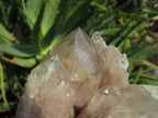 Natural Smokey Phantom Quartz Clusters x 2 From Lwena, Congo - TopRock